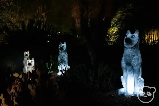 3 wolf sculptures sitting amidst trees. 