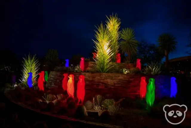 Planters with cacti plants, lighted meerkat sculptures, and spiky glass sculptures.