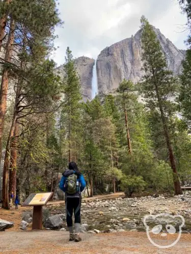 waterfall in the background with a woman hiker and tree forest