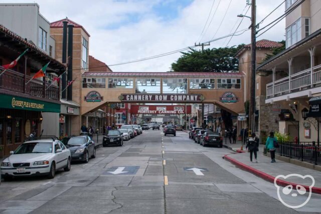 street with stores on each side. 