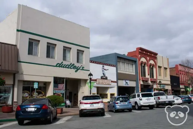 Street with buildings and parked cars