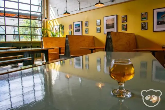 Glass of beer on a table in a room with seating and windows.