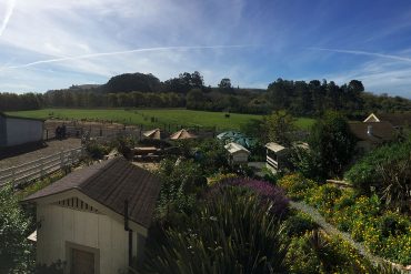 Harley Farms in Pescadero, CA: See Baby Goats & Eat Goat Cheese (Updated 2024) harley-farm-from-barn-dining-room