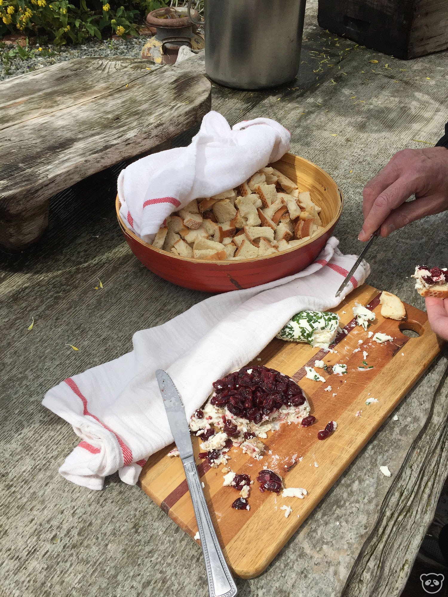 Harley Farms in Pescadero, CA See Baby Goats & Eat Goat Cheese