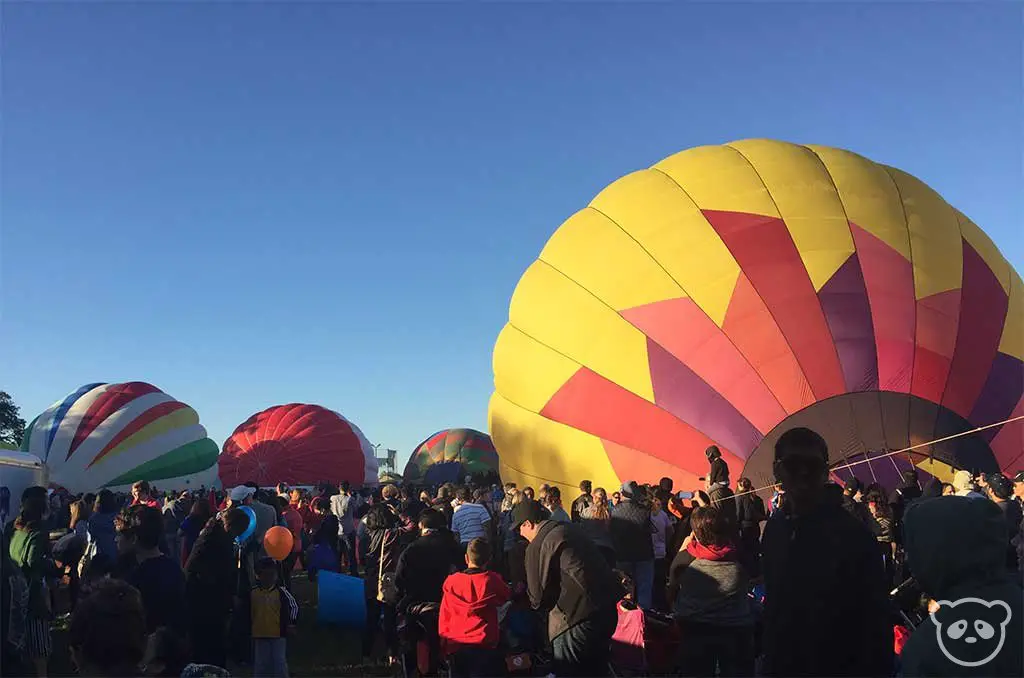 Hot Air Balloon Festival in Wine Country, California (Updated 2020