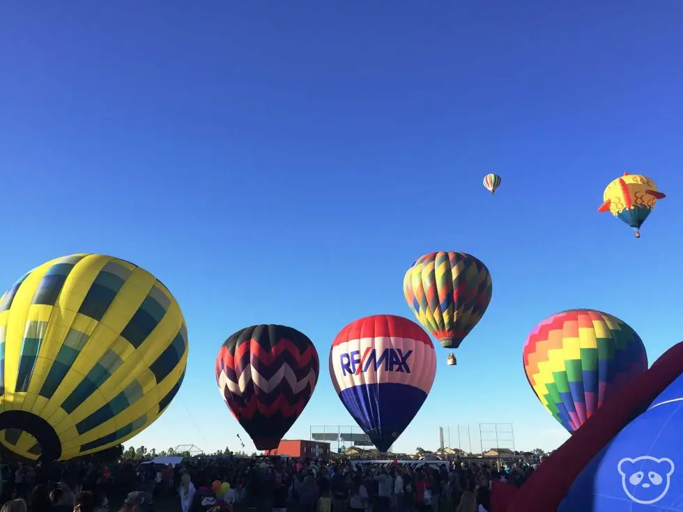 Hot Air Balloon Festival in Wine Country, California (Updated 2020