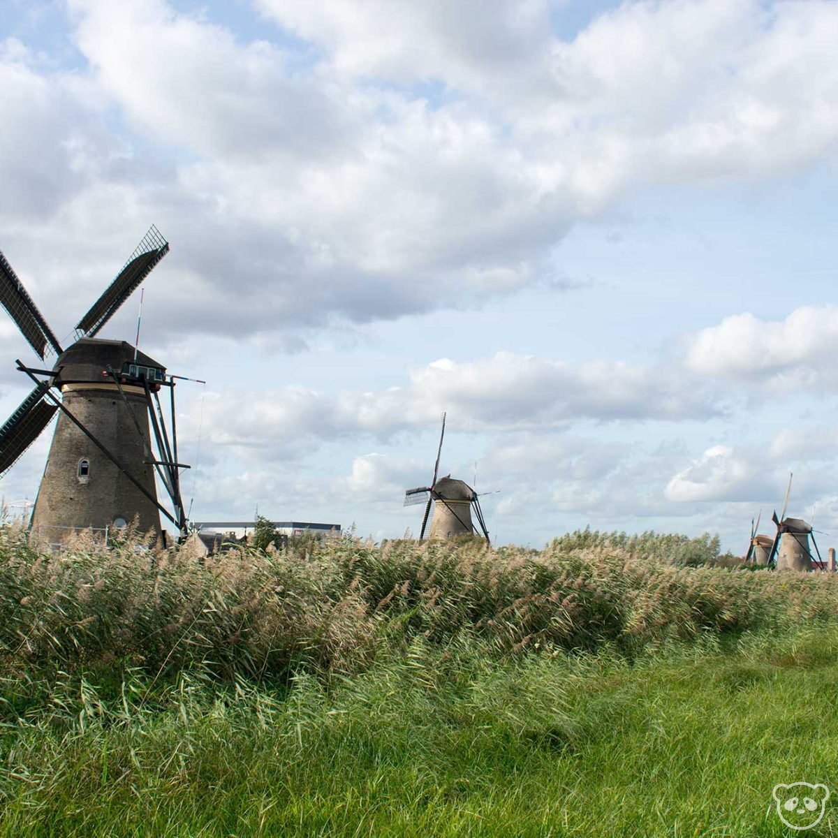 Kinderdijk Windmills A Scenic Day Trip In The Netherlands The Adventures Of Panda Bear