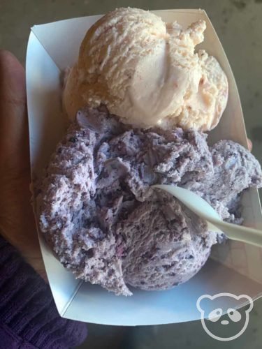 Two scoops of ice cream in a cardboard boat. 