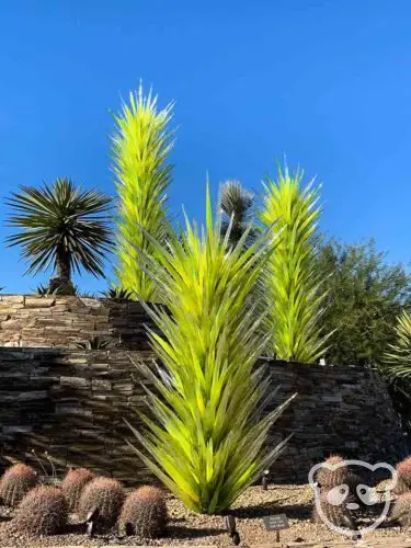 Glass sculptures and desert plants in a planter. 