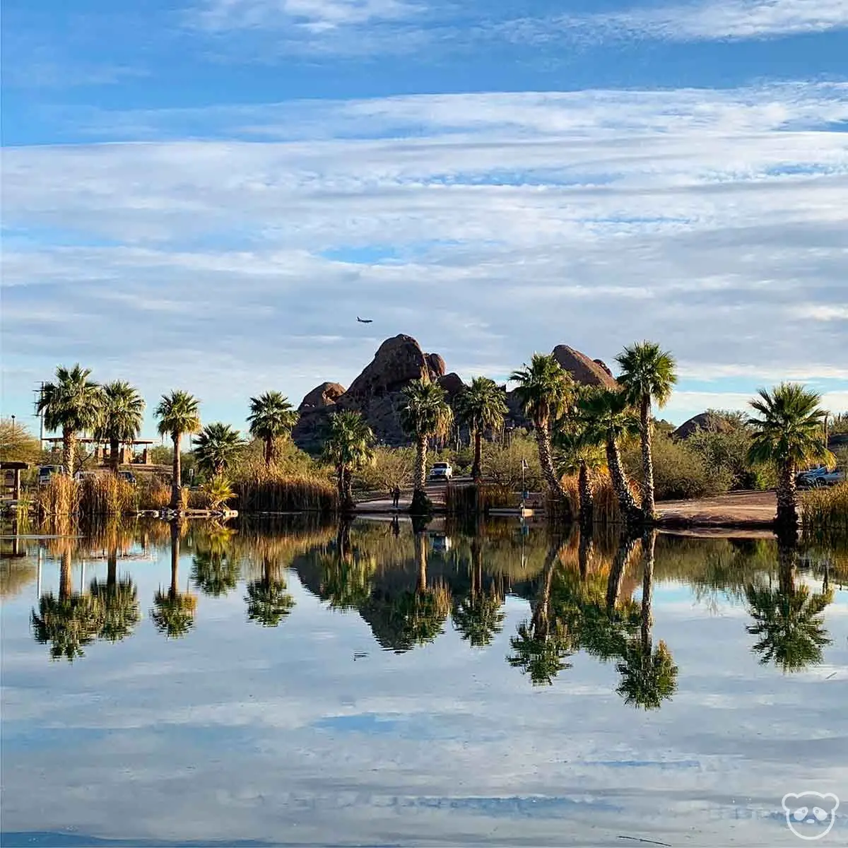 Papago Park palm trees and rock formations reflected in the Papago Park fishing ponds.