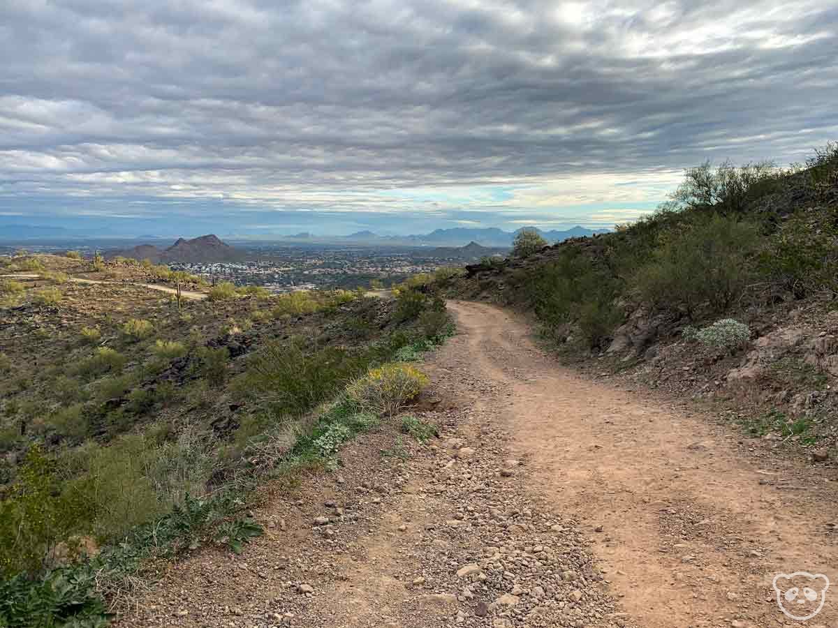 Shaw Butte Trail with the view of the city and hills in the background.