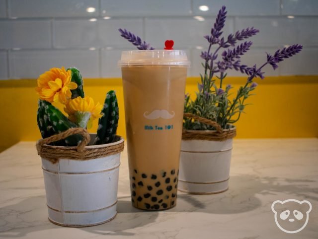 Two fake succulent planters sandwiching a large cup of boba milk tea.