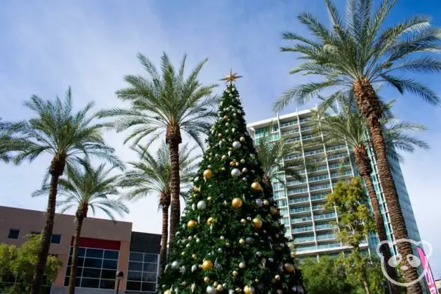 A decorated Christmas tree with palm trees next to it and buildings in the background.