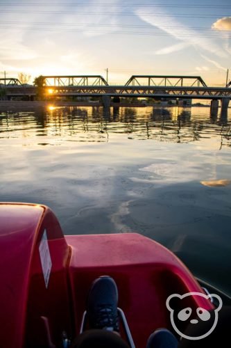 Photo of feet pedaling on the pedal boat with Tempe Town Lake and Tempe Town Lake Pedestrian Bridge around sunset.