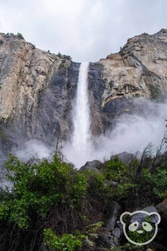 waterfall plunging into the foreground of bushes and rocks