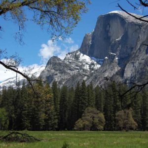 One Day in Yosemite National Park: Day Trip from San Francisco (Updated Feb 2024)