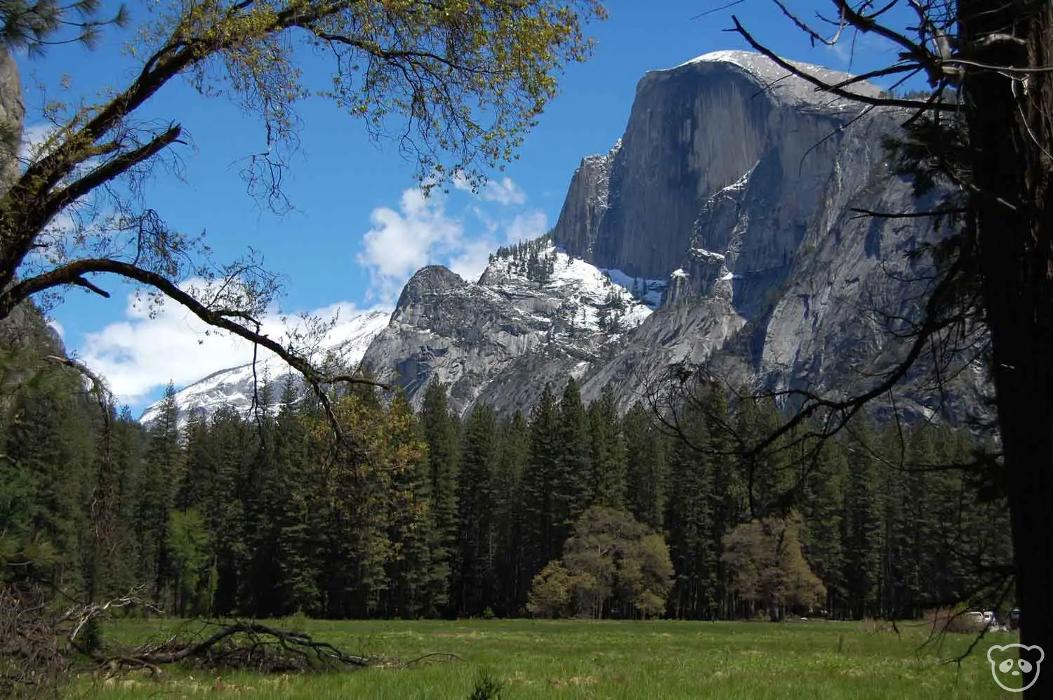 View of granite mountain in the background with tree forest and grass meadow in the foreground.