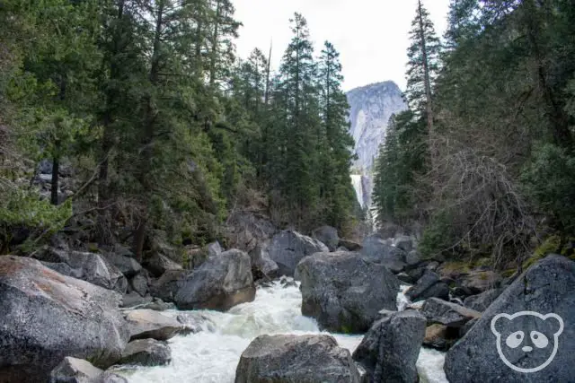 river surrounded by trees with waterfall in the background partially visible