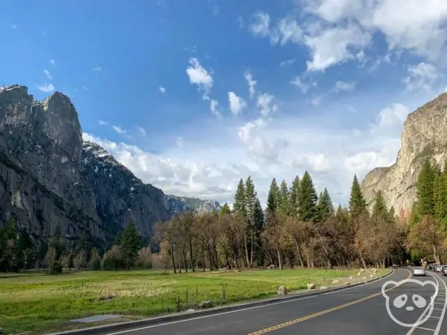 road in the foreground with mountains and trees in the background