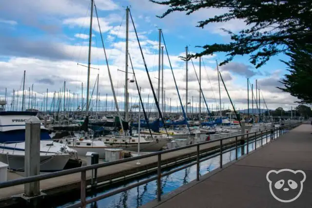 Many boats at the marina dock.