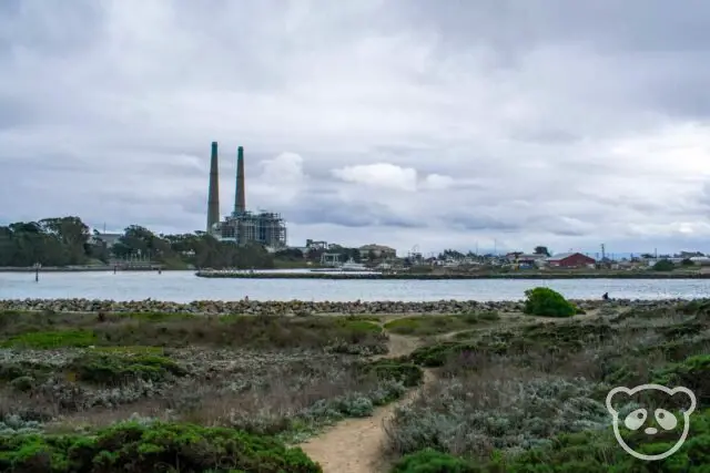 Beach with beach plants and power plant in the background. 