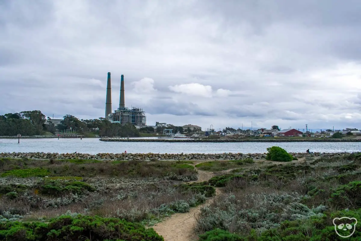 10 Best Monterey Hiking Trails near California's Central Coast The Adventures of Panda Bear