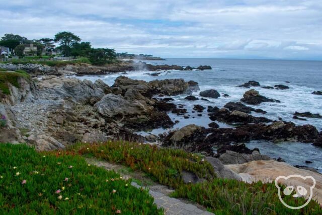 Coastline and ocean view from the coastal trail. 