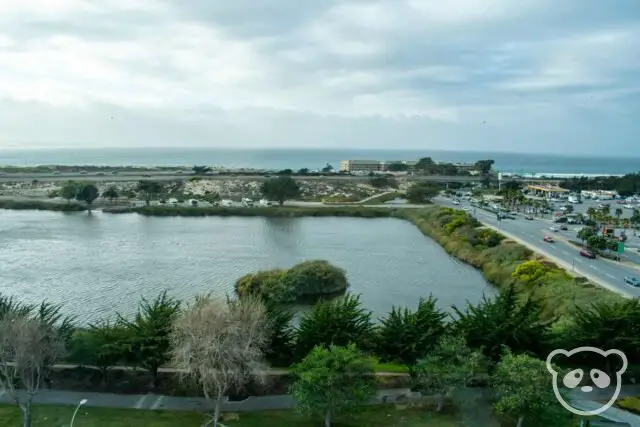 view of lagoon, street, and pacific ocean