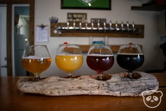 Flight of four beers in front of the beer taps. 