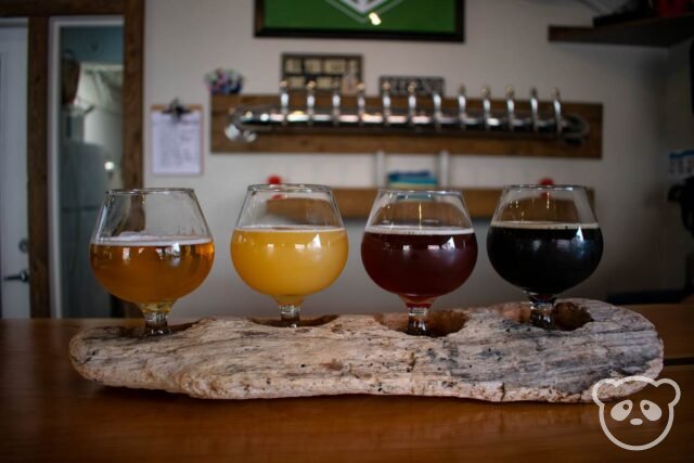 Flight of four beers in front of the beer taps.