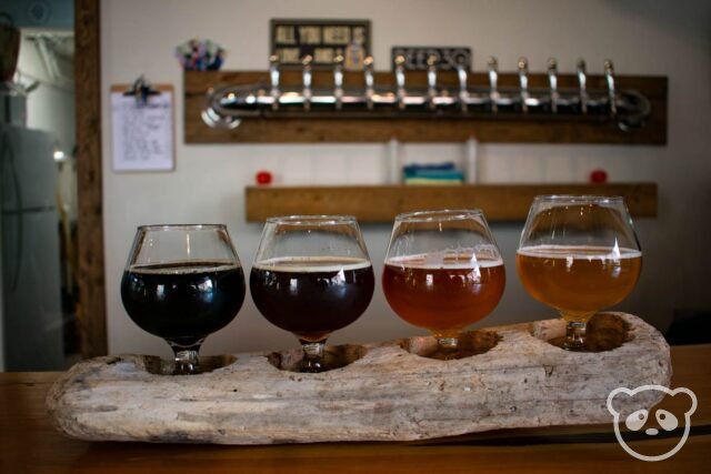 Four beer flight on bar in front of the taps.