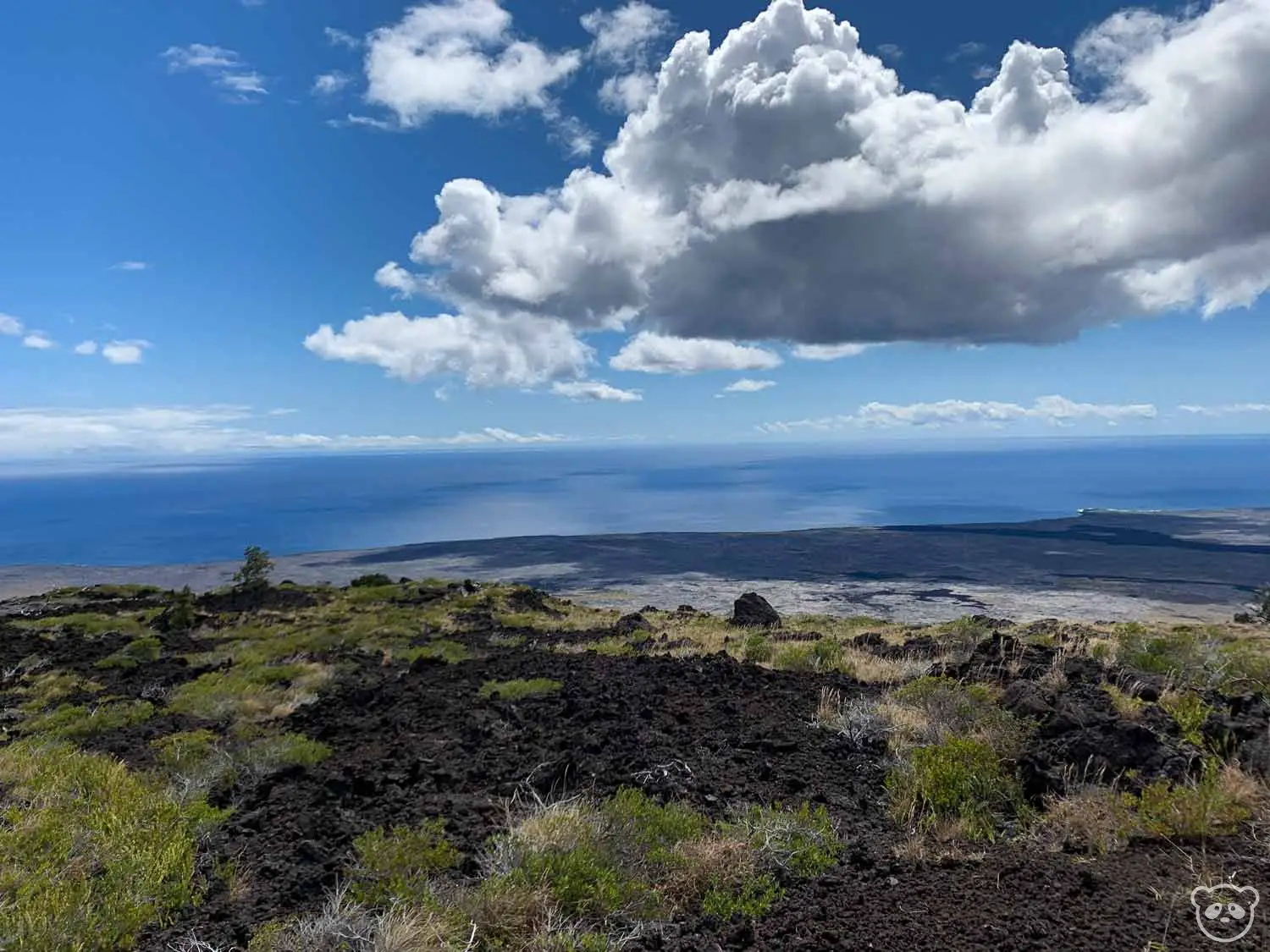 View of Pacific Ocean from Chain of Craters Drive.