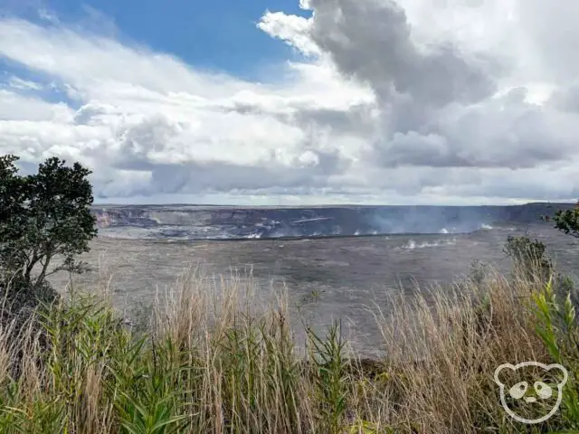 Giant volcanic crater behind grasses and bushes.