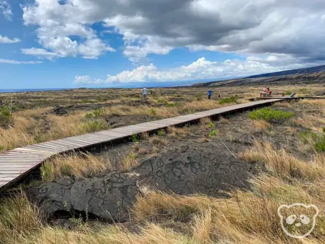 Boardwalk trail leading to the foreground with ancient native Hawaiian petroglyphs.