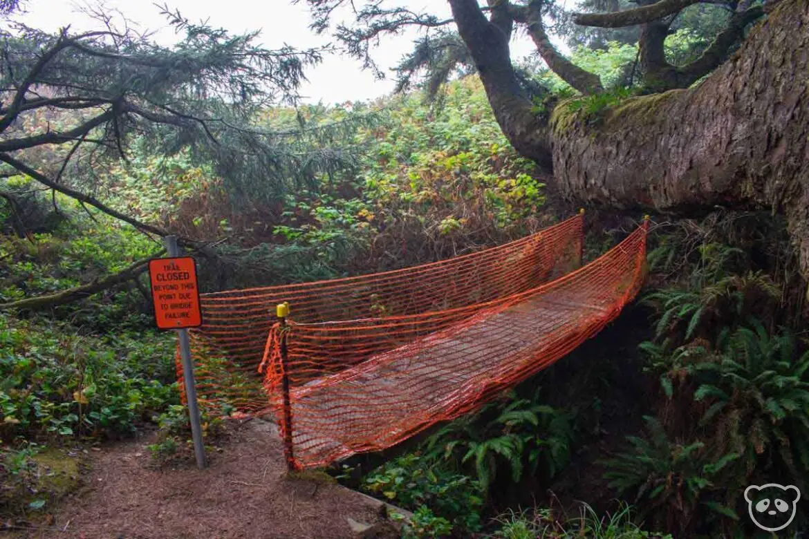 Damaged and blocked off bridge at Lower Damnation Creek Trail.