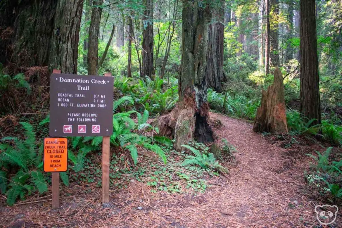 Damnation Creek Trailhead sign at the start of the hike with the trailhead itself in the background. 