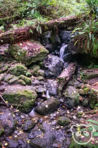 Trillium Falls waterfall flowing over a rocky bed.